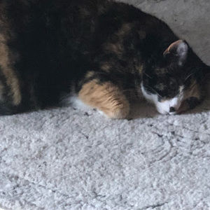 Meet your Posher, Moth